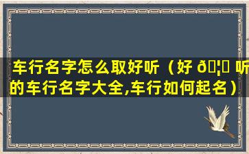 车行名字怎么取好听（好 🦋 听的车行名字大全,车行如何起名）